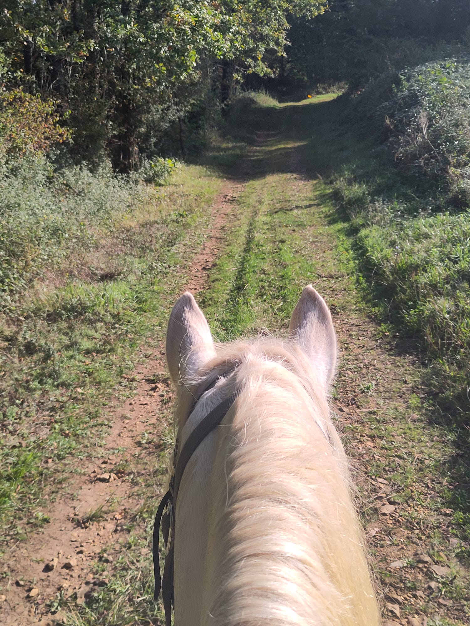 De beaux chemins